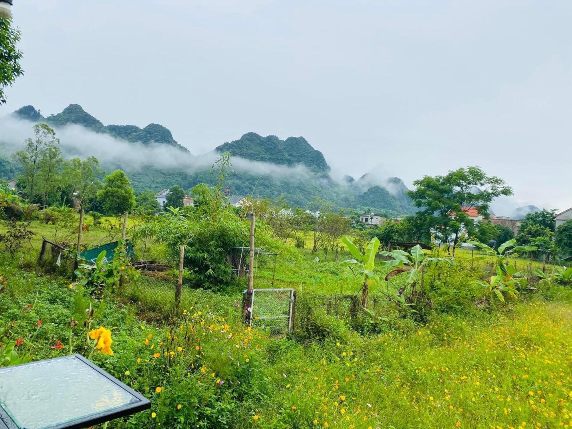 Jungle Boss Homestay Phong Nha Exterior foto