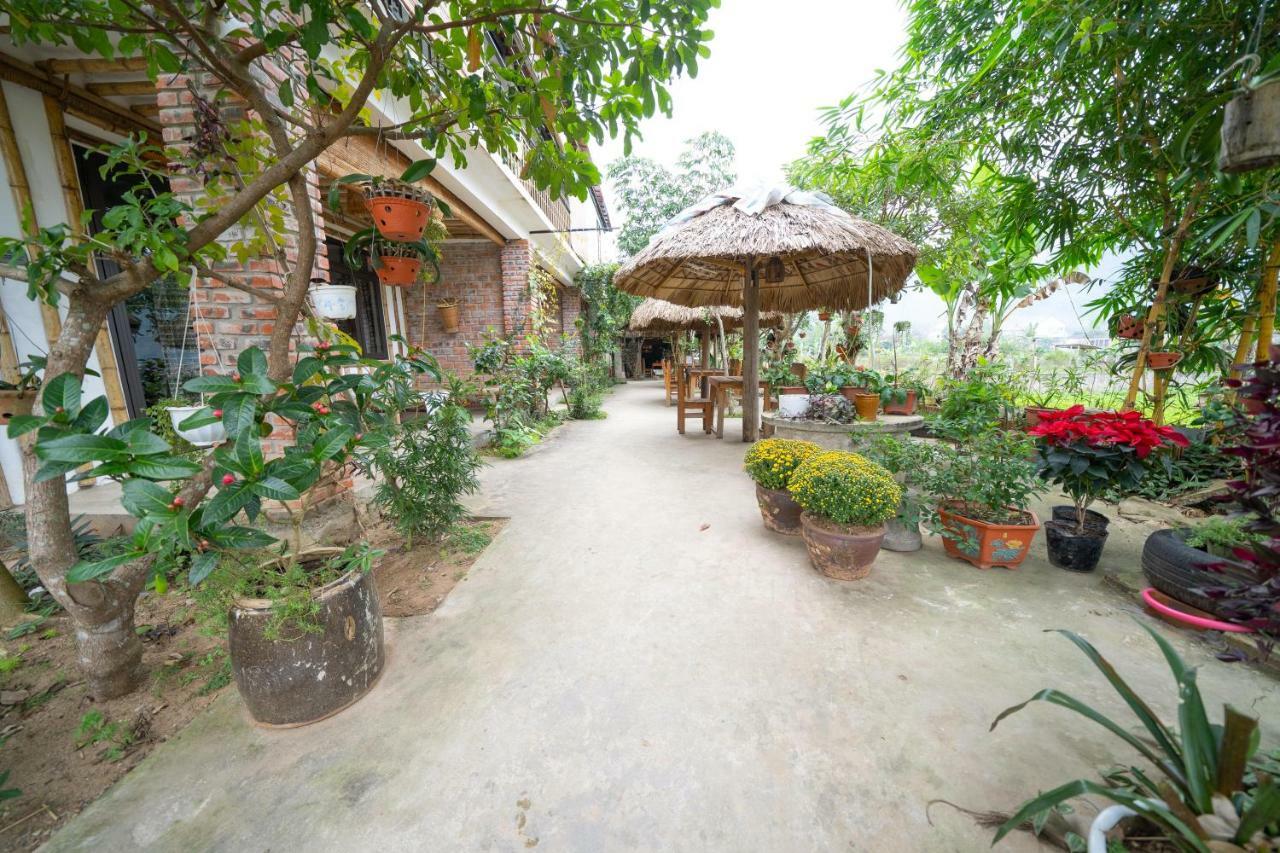 Jungle Boss Homestay Phong Nha Exterior foto